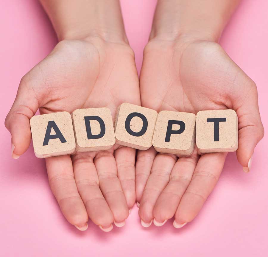 hands holding block letters spelling out the word adopt